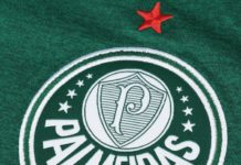 palmeiras