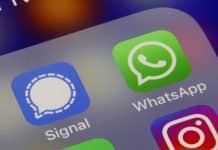 Signal apresenta novos recursos a usuários para rivalizar com o WhatsApp